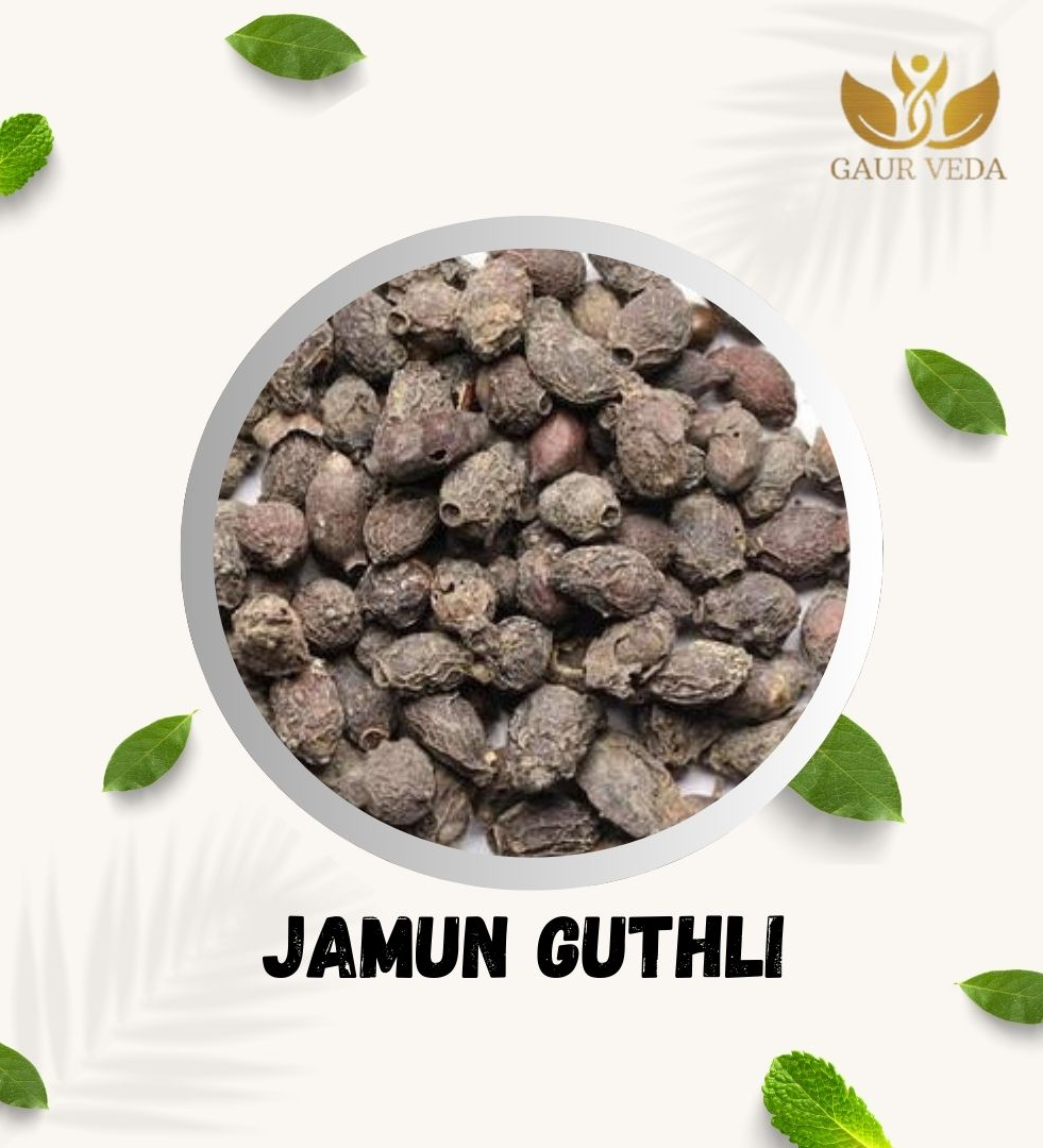 Gaurveda Jamun Guthli - Syzygium Cumini - Eugenia Jambolana Seeds - Blackberry Seeds - Pure & Natural (100 Grams)