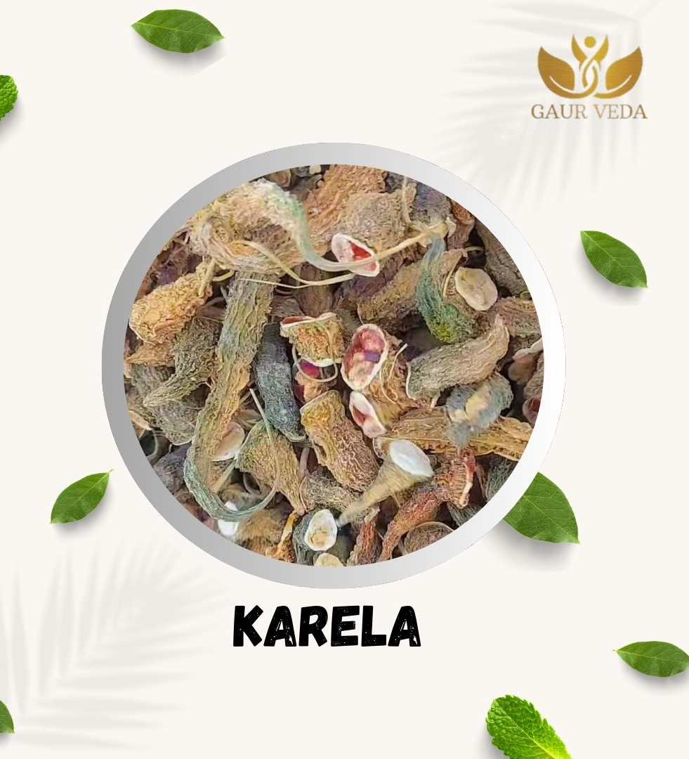 Gaurveda Karela - Momordica Charantia - Bitter Gourd Big (100 Grams)