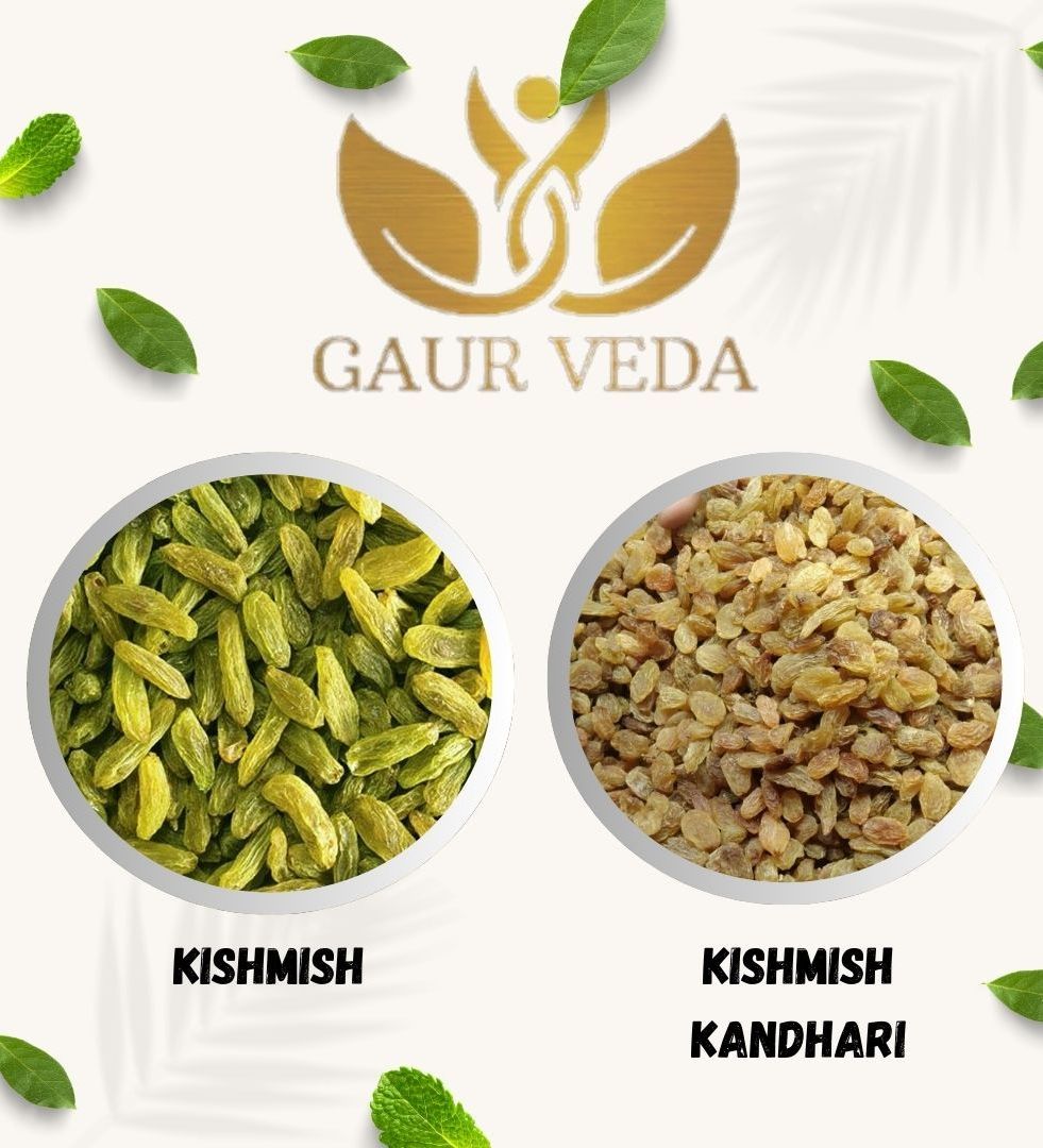 Gaurveda kishmish & Kishmish Kandhari Premium Quality Combo - Raisnis Duo Pack of 50 Grams Each