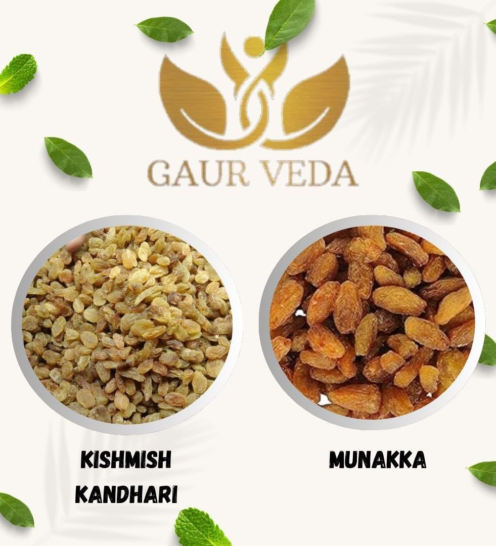 Gaurveda Kishmish Kandhari & Munakka Premium Quality Combo - Raisnis & Munakka Pack of 50 Grams Each