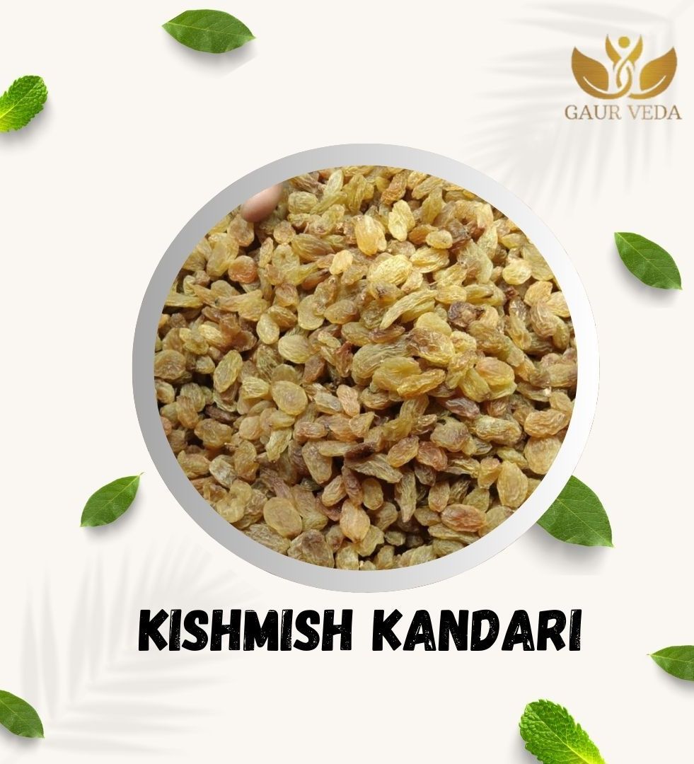 Gaurveda Kishmish Kandhari - Premium Quality Raisin Almonds 50 Grams