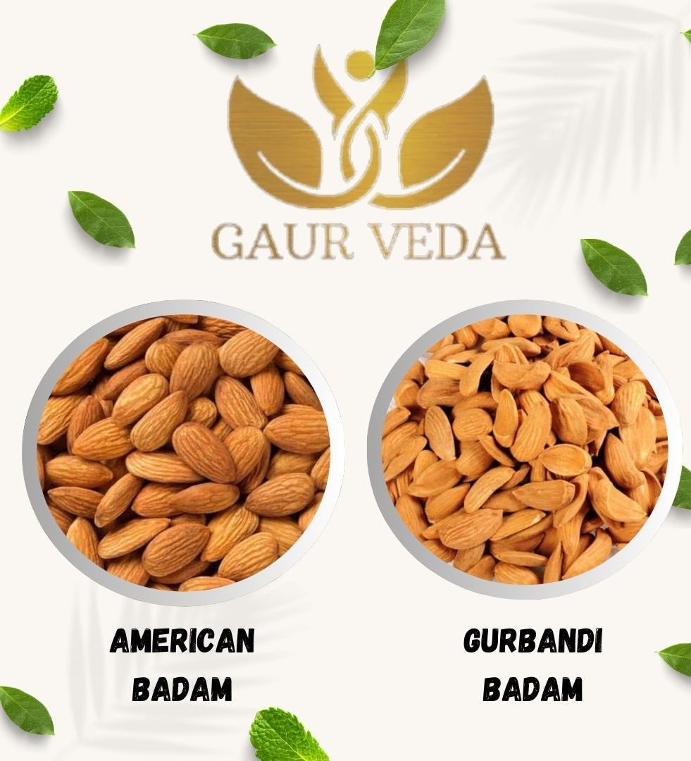 Gaurveda 10 Types Dry Fruits - American Badam ,Gurbandi Badam , Kishmish , Kishmish Kandhari , Kaju , Pista , Anjeer , Munakka , Khubani & Akhrot Giri - Perfect Gift for All Occasion -  50 Grams Each