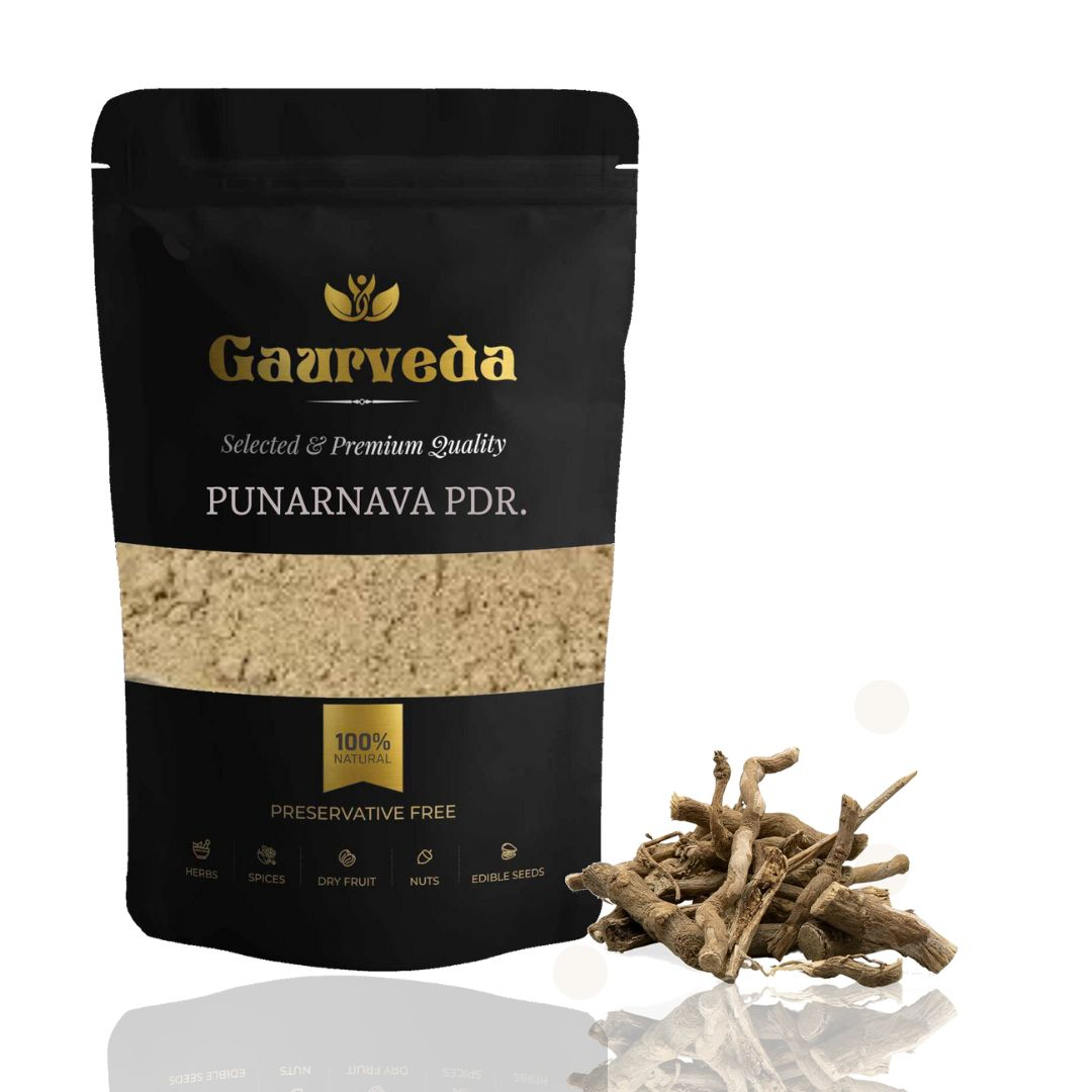 GAURVEDA Punarnava Powder 100% Natural & Pure | Traditional Ayurvedic Herb/Seed/Powder | Supports Wellness & Daily Health | Ideal for Herbal Remedies, 100 Grams