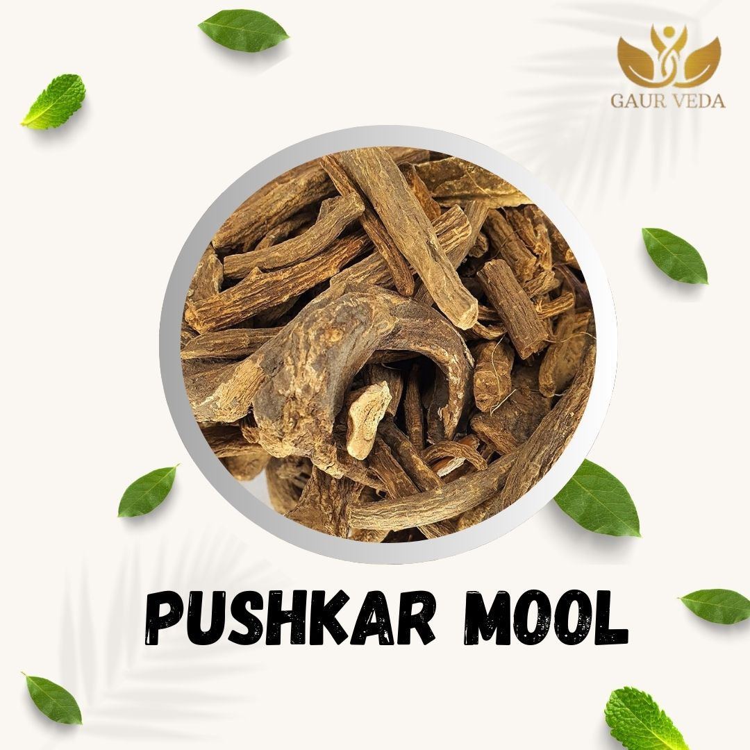 GAURVEDA Pushkarmool 100% Natural & Pure | Traditional Ayurvedic Herb/Seed/Powder | Supports Wellness & Daily Health | Ideal for Herbal Remedies, 100 Grams