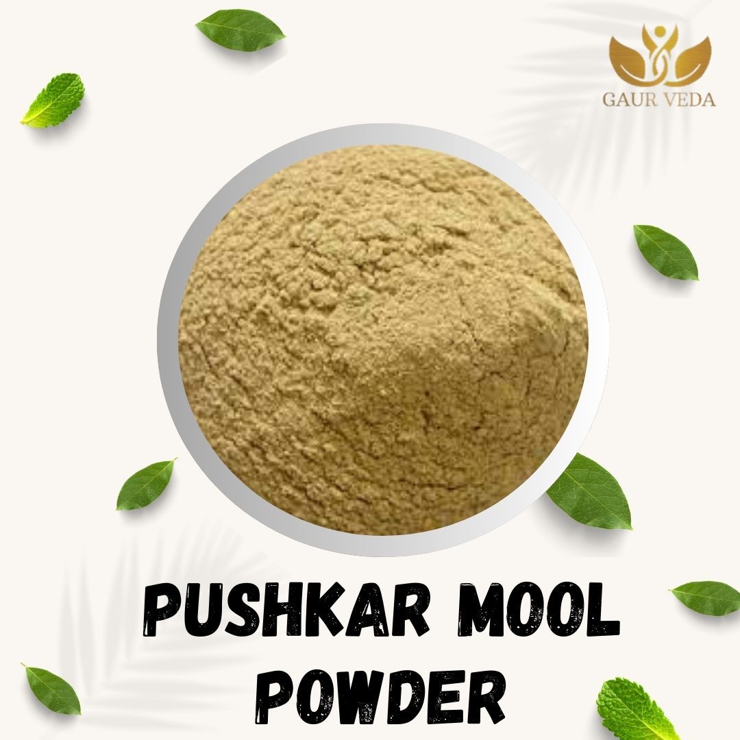 GAURVEDA Pushkarmool Powder 100% Natural & Pure | Traditional Ayurvedic Herb/Seed/Powder | Supports Wellness & Daily Health | Ideal for Herbal Remedies, 100 Grams