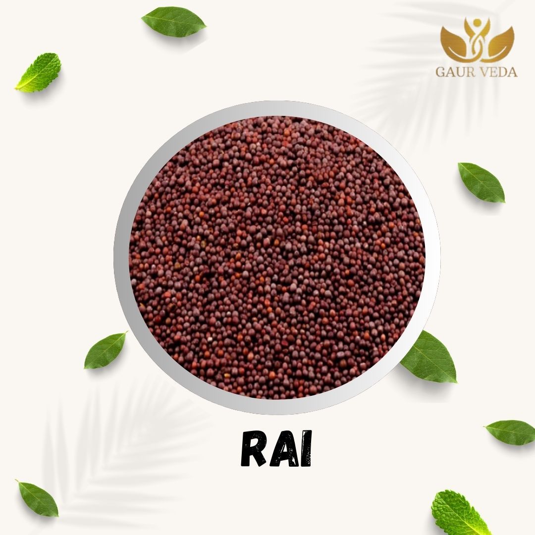 GAURVEDA Rai | Mustard Seeds for Authentic Indian Cooking | Adds a Zesty Flavor to your Recipes | Perfect for Tempering & Pickling | 1000 Grams
