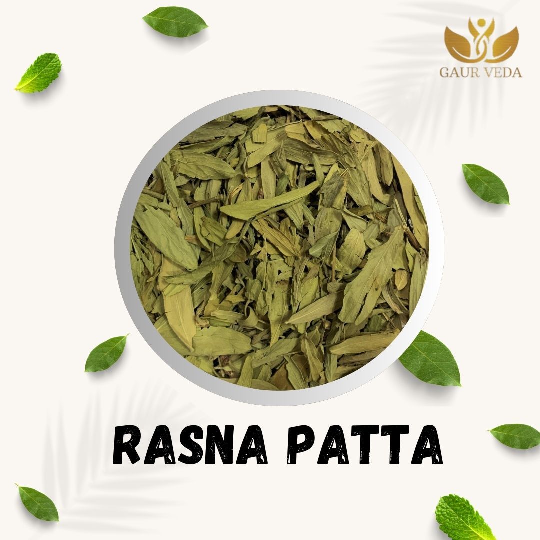 GAURVEDA Rasna patta 100% Natural & Pure | Traditional Ayurvedic Herb/Seed/Powder | Supports Wellness & Daily Health | Ideal for Herbal Remedies, 100 Grams