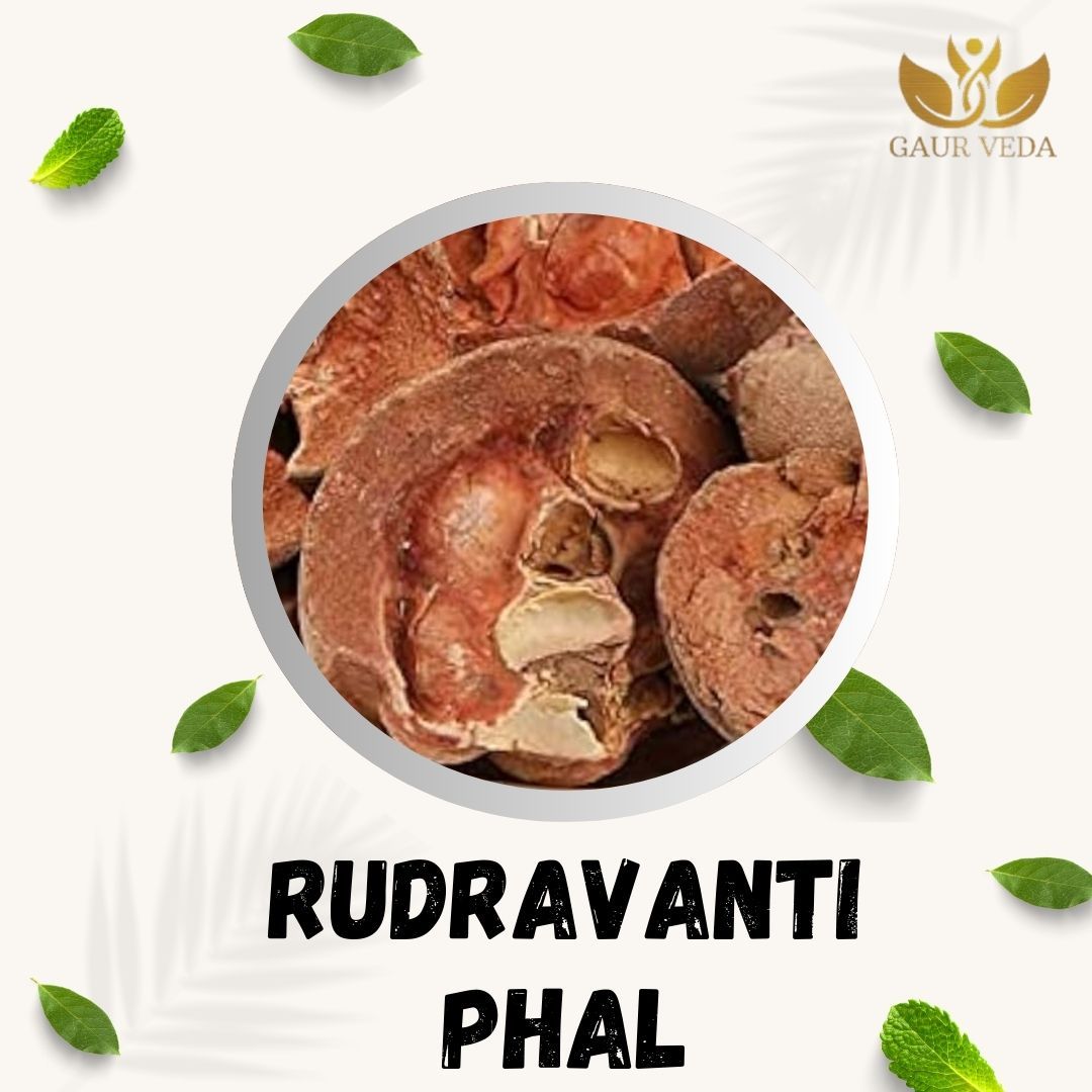 GAURVEDA Rudravanti phal 100% Natural & Pure | Traditional Ayurvedic Herb/Seed/Powder | Supports Wellness & Daily Health | Ideal for Herbal Remedies, 100 Grams