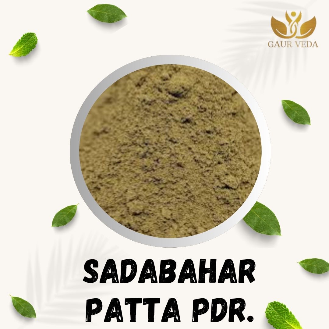 GAURVEDA Sadabaharpatta Powder 100% Natural & Pure | Traditional Ayurvedic Herb/Seed/Powder | Supports Wellness & Daily Health | Ideal for Herbal Remedies, 100 Grams