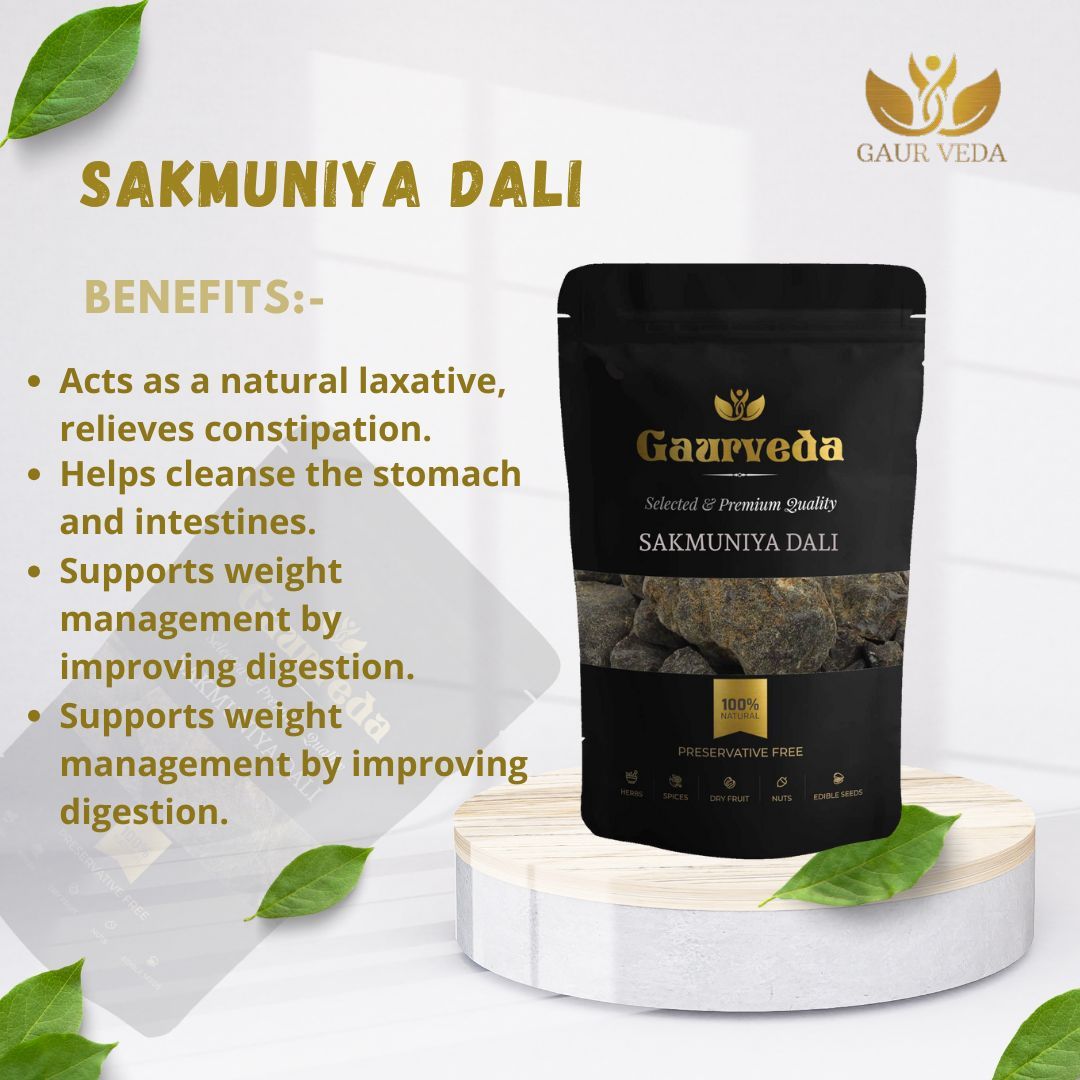 GAURVEDA Sakmuniya dali 100% Natural & Pure | Traditional Ayurvedic Herb/Seed/Powder | Supports Wellness & Daily Health | Ideal for Herbal Remedies, 100 Grams