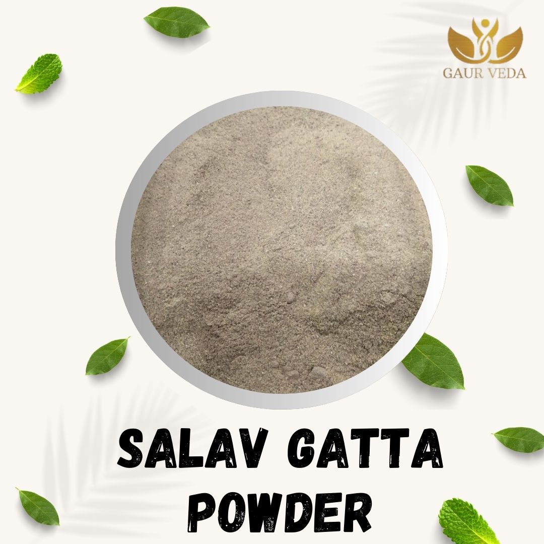 GAURVEDA Salav gatta Powder 100% Natural & Pure | Traditional Ayurvedic Herb/Seed/Powder | Supports Wellness & Daily Health | Ideal for Herbal Remedies, 100 Grams