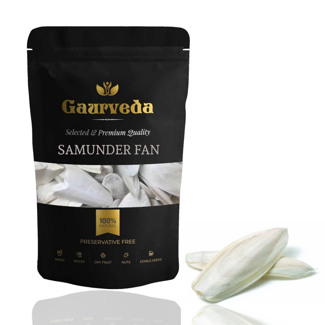 GAURVEDA Samunder jagh 100% Natural & Pure | Traditional Ayurvedic Herb/Seed/Powder | Supports Wellness & Daily Health | Ideal for Herbal Remedies, 100 Grams