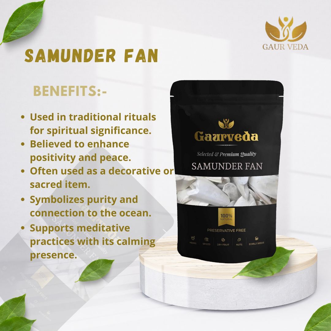 GAURVEDA Samunder jagh 100% Natural & Pure | Traditional Ayurvedic Herb/Seed/Powder | Supports Wellness & Daily Health | Ideal for Herbal Remedies, 100 Grams