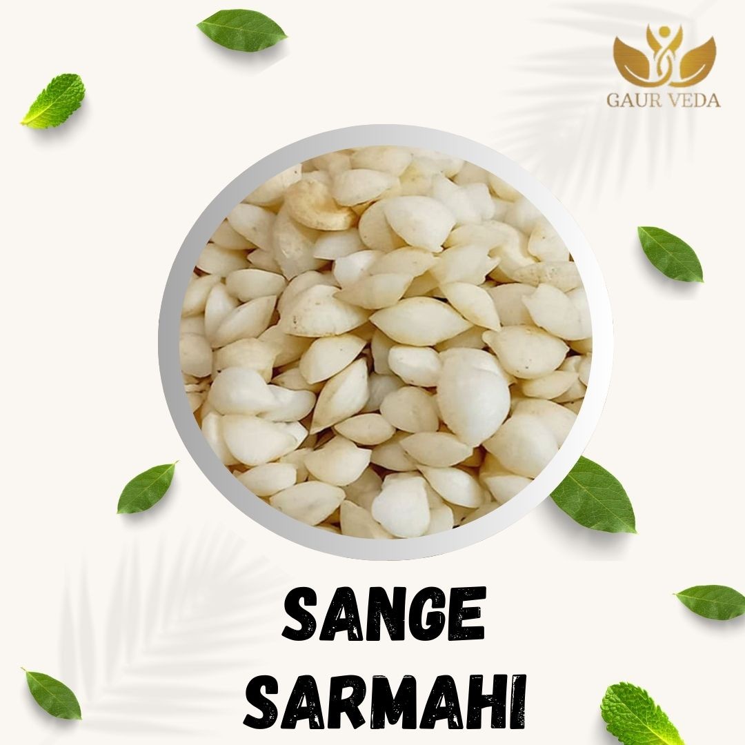 GAURVEDA Sange sarmahi 100% Natural & Pure | Traditional Ayurvedic Herb/Seed/Powder | Supports Wellness & Daily Health | Ideal for Herbal Remedies, 100 Grams