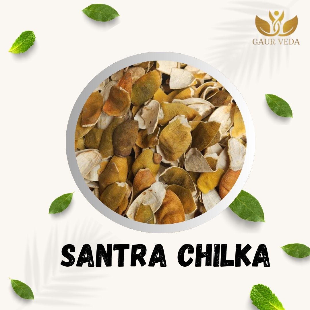 GAURVEDA Santra chilka 100% Natural & Pure | Traditional Ayurvedic Herb/Seed/Powder | Supports Wellness & Daily Health | Ideal for Herbal Remedies, 100 Grams