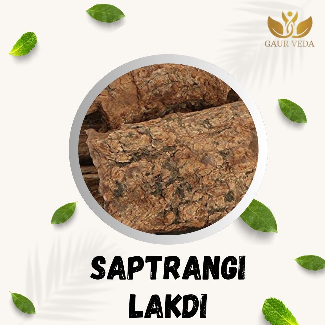 GAURVEDA Saptarngi lakdi 100% Natural & Pure | Traditional Ayurvedic Herb/Seed/Powder | Supports Wellness & Daily Health | Ideal for Herbal Remedies, 100 Grams