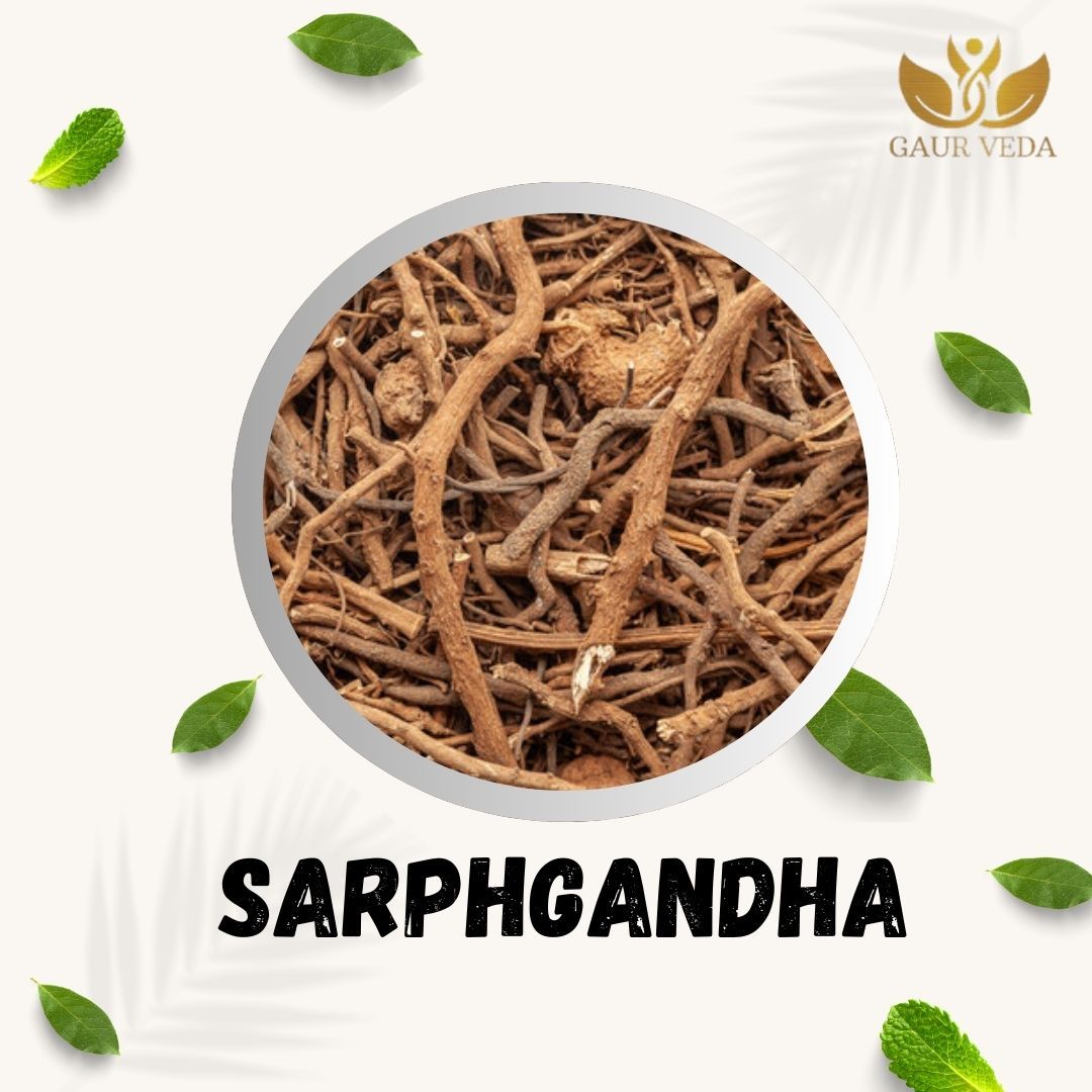 GAURVEDA Sarpgandha 100% Natural & Pure | Traditional Ayurvedic Herb/Seed/Powder | Supports Wellness & Daily Health | Ideal for Herbal Remedies, 100 Grams