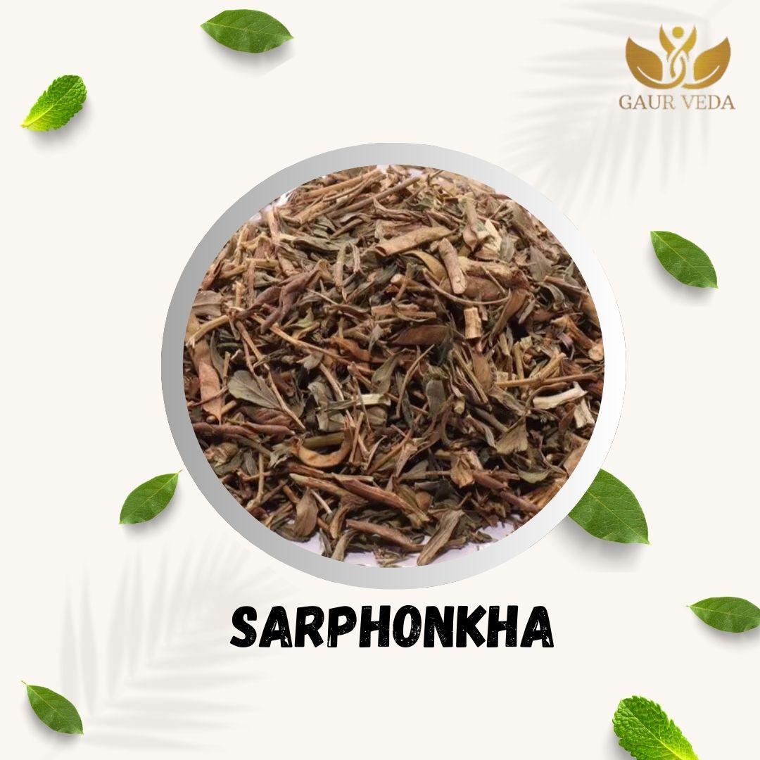 Gaurveda Sarphokha Raw - Sarfoka - Sarpoka - Surphoka - Tephrosia Purpurea - Pure and Natural (100 Grams)