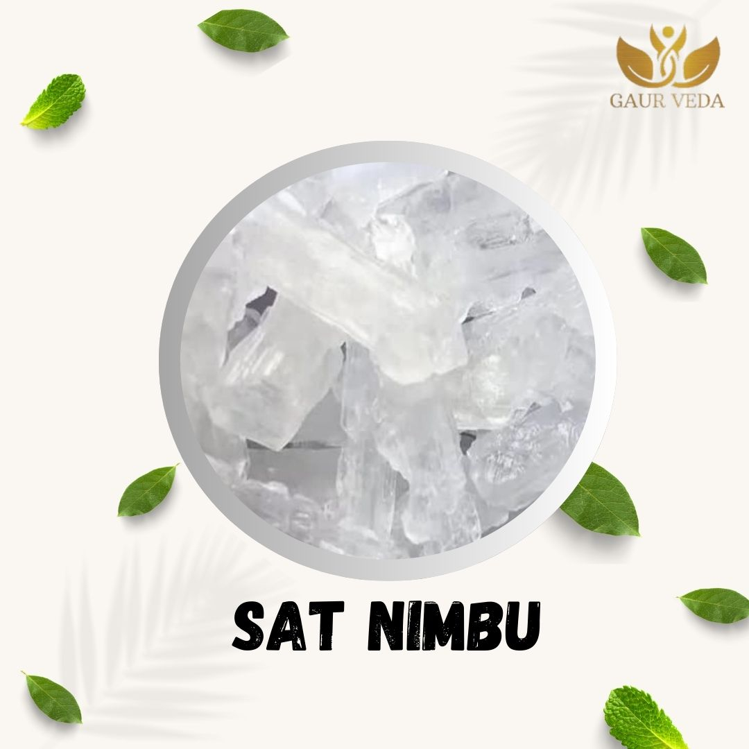 GAURVEDA Sat Nimbu - Natural Lemon Extract for Refreshing Drinks, Cooking & Flavor Enhancer | Concentrated Citrus Goodness | 50 Grams