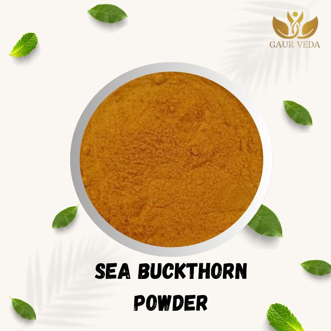 Gaurveda (1 Kg.) Himalayan Sea Buckthorn Berries Powder | Rich in Omega 3, 6, 7, 9 | Collagen, Fiber, Omegas, Vitamin C, Vitamin E | Dry Sea Buckthorn Powder