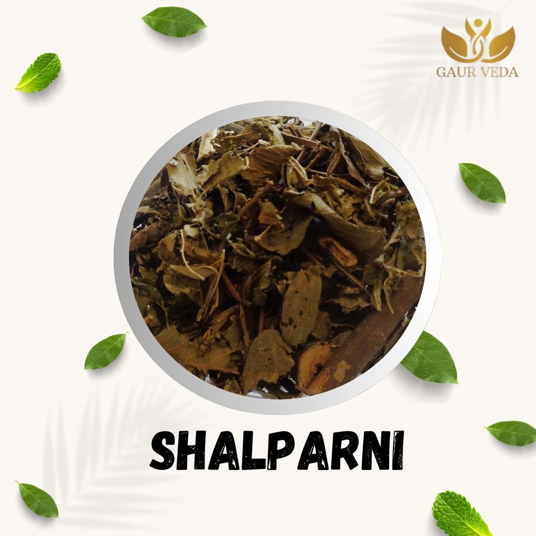 GAURVEDA Shalparni 100% Natural & Pure | Traditional Ayurvedic Herb/Seed/Powder | Supports Wellness & Daily Health | Ideal for Herbal Remedies, 100 Grams{221