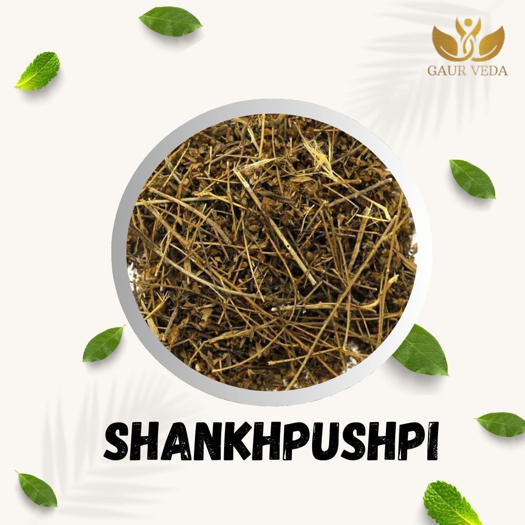 GAURVEDA Shankhpushpi 100% Natural & Pure | Traditional Ayurvedic Herb/Seed/Powder | Supports Wellness & Daily Health | Ideal for Herbal Remedies, 100 Grams