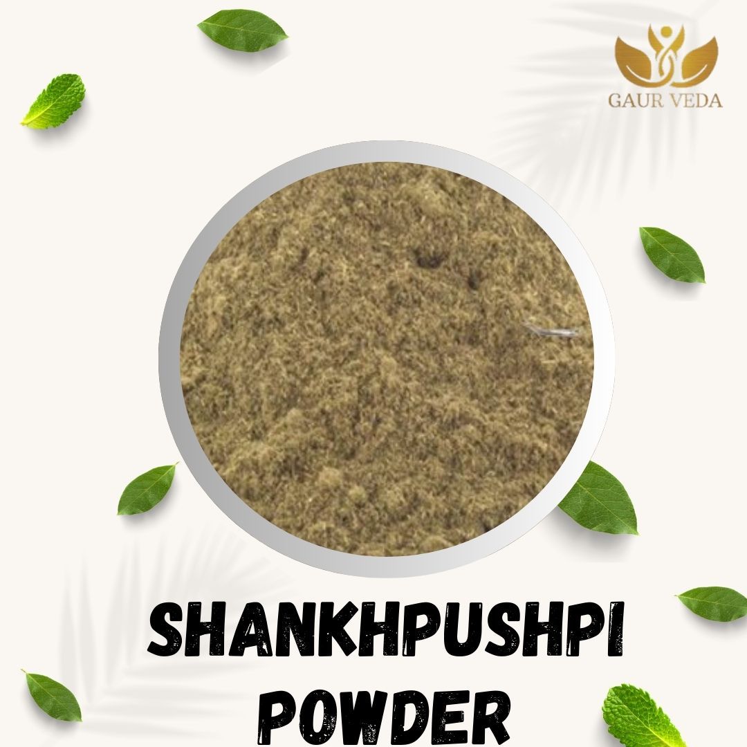 GAURVEDA Shankhpushpi Powder 100% Natural & Pure | Traditional Ayurvedic Herb/Seed/Powder | Supports Wellness & Daily Health | Ideal for Herbal Remedies, 100 Grams