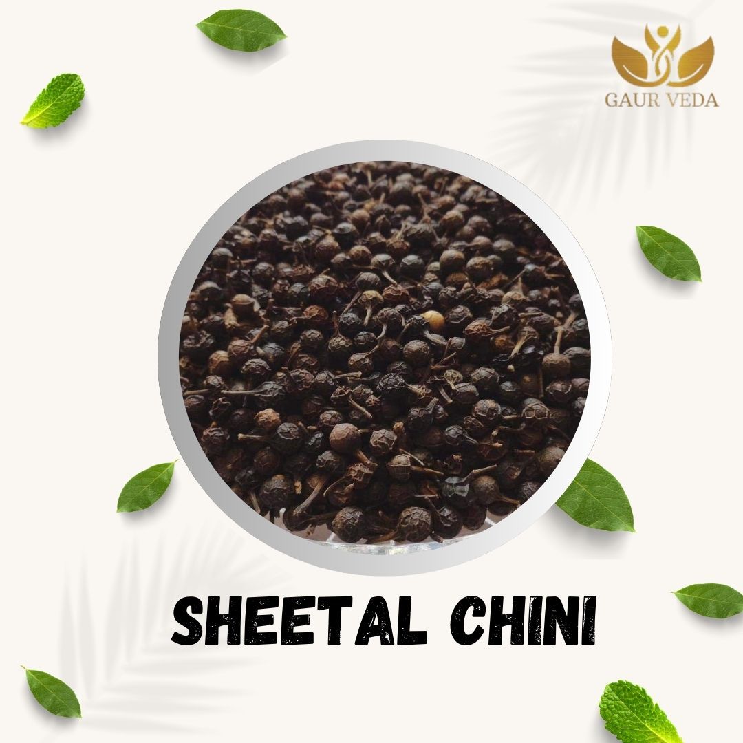 Gaurveda Shital Chini - Kabab Chini - Piper Cubeba Linn - Cubeb Berries - Pure & Natural (100)