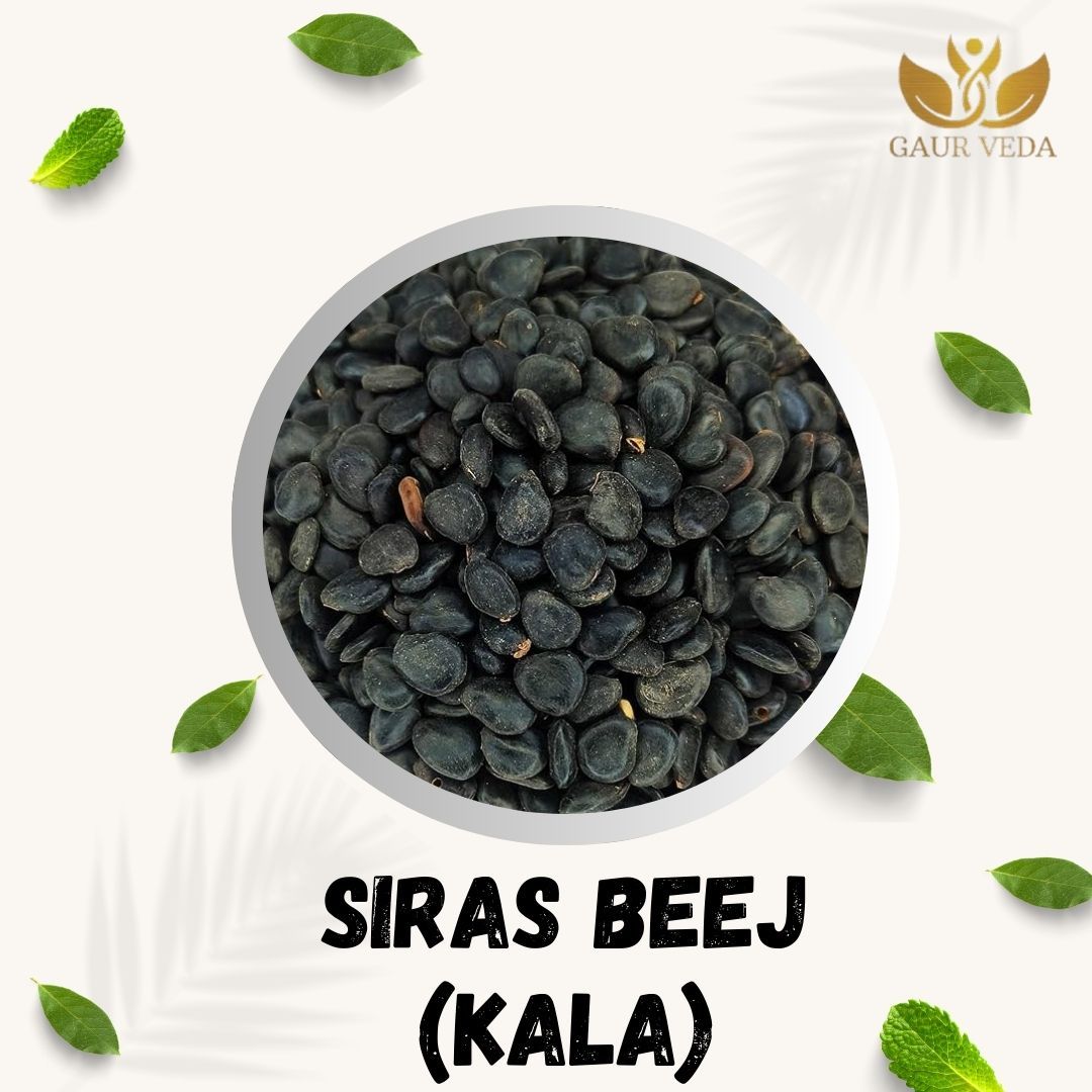 GAURVEDA Siras Beej Kala - Seeds, Natural Goodness, Authentic Indian Herb, Nutrient Rich Superfood, Traditional Wellness Support | 100 Grams