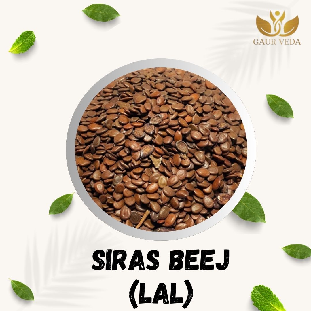 GAURVEDA Siras Beej Lal - Authentic Seeds for Traditional Indian Remedies & Ayurvedic Wellness |, Naturally Sourced Seed | 100 Grams