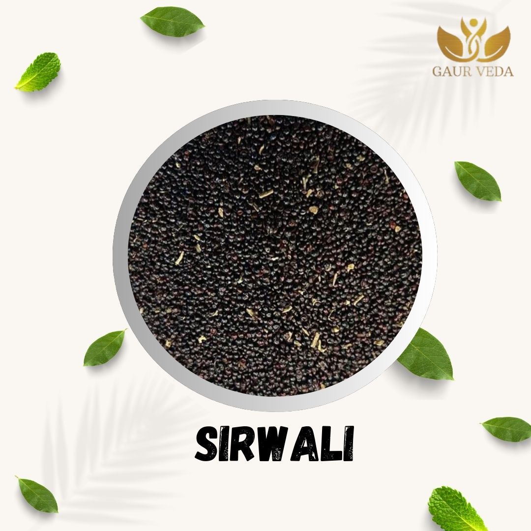 GAURVEDA Sirwali | Authentic Indian Snack | Traditional Recipe | Homemade Style | Delicious & Crunchy Treat | Perfect for Tea Time (Add Flavor!) | 100 Grams