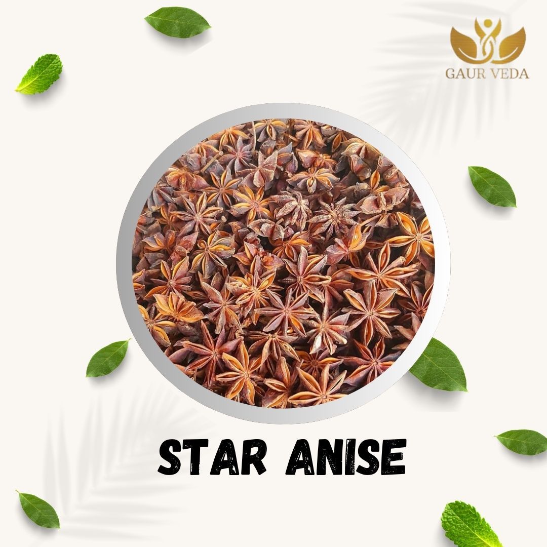GAURVEDA Star Anise - Chakri Phool - Badian Khatai - Illicium Verum - Pure & Natural (50 Grams)