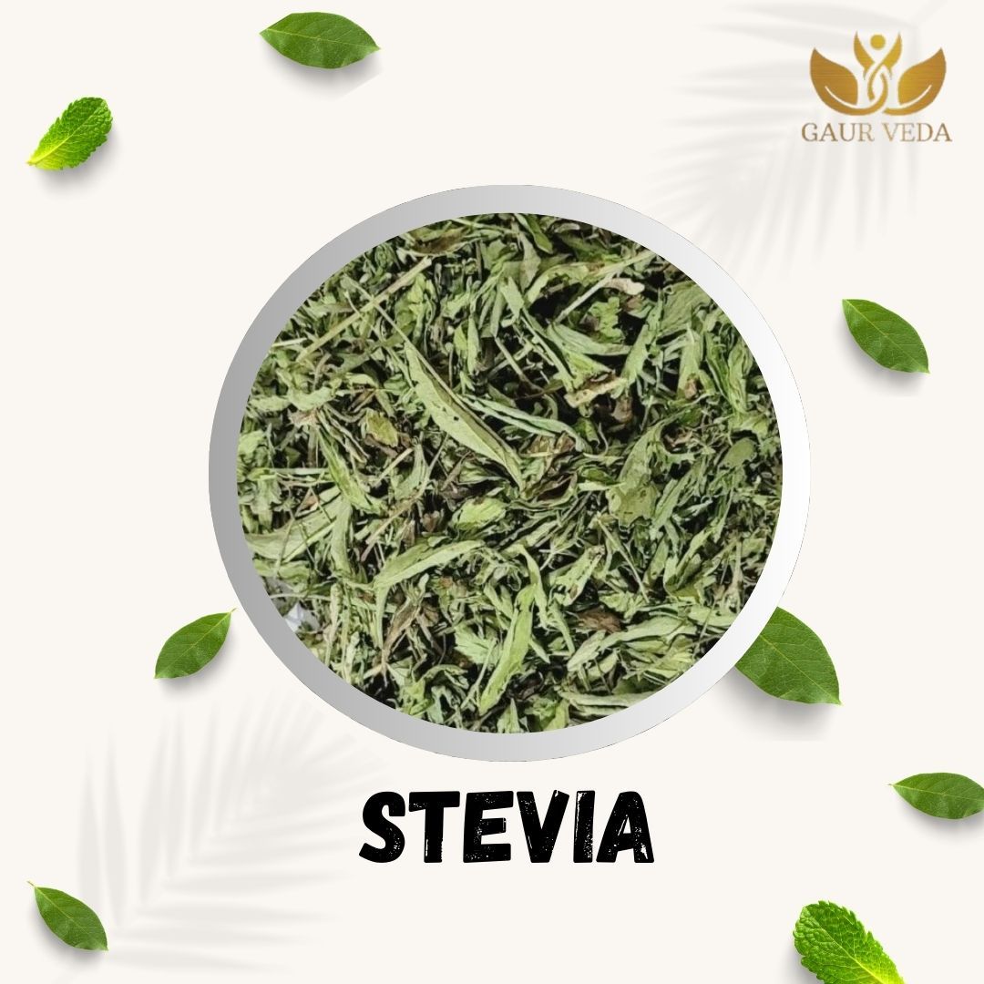 GAURVEDA Stevia 100% Natural & Pure | Traditional Ayurvedic Herb/Seed/Powder | Supports Wellness & Daily Health | Ideal for Herbal Remedies, 100 Grams
