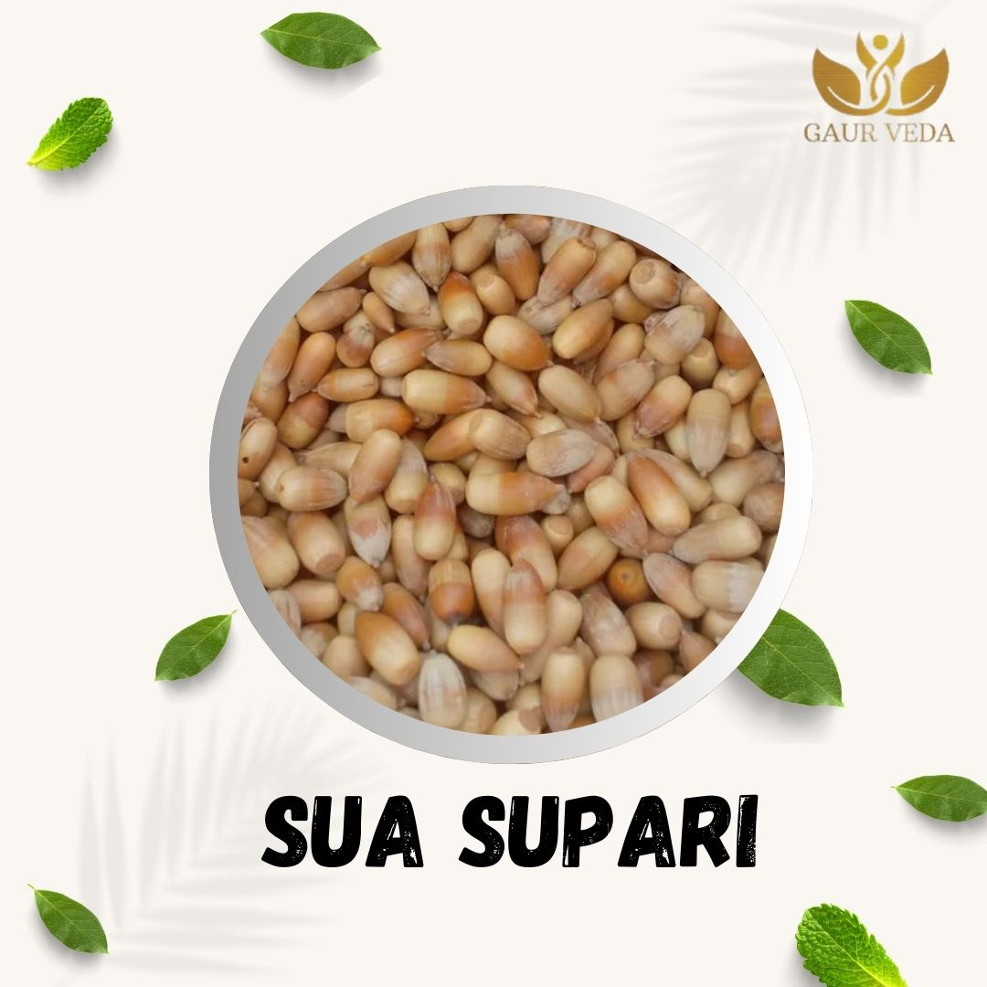 GAURVEDA SUA supari 100% Natural & Pure | Traditional Ayurvedic Herb/Seed/Powder | Supports Wellness & Daily Health | Ideal for Herbal Remedies, 100 Grams