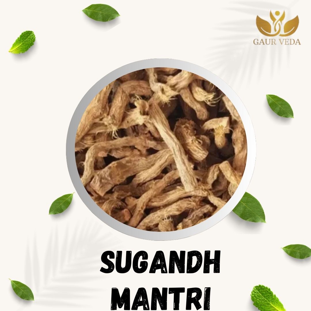 GAURVEDA Sugandh mantri 100% Natural & Pure | Traditional Ayurvedic Herb/Seed/Powder | Supports Wellness & Daily Health | Ideal for Herbal Remedies, 1000 Grams{239
