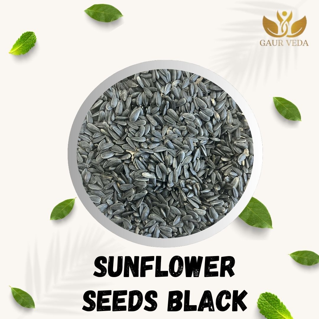 GAURVEDA Black Sunflower Seeds Natural Healthy Snack - Rich in Vitamin E, Minerals & Antioxidants - Perfect for Roasting & Adding to Recipes | 100 Grams