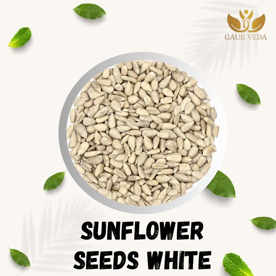 GAURVEDA White Sunflower Seeds -, Nutrient-Rich, Healthy Snack, Perfect for Roasting, Baking & Adding to Your Daily Diet! | 100 Grams