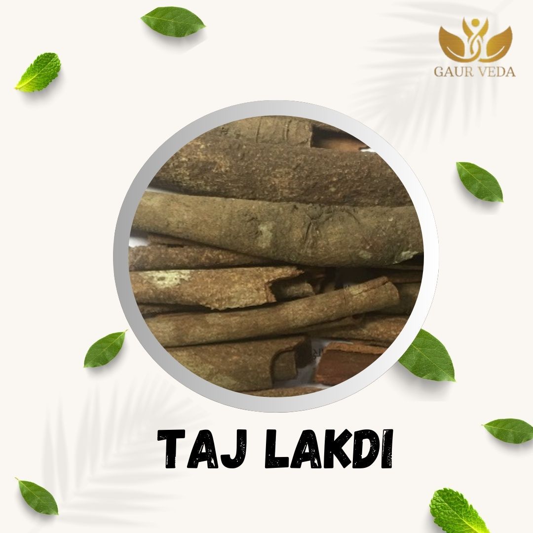 GAURVEDA Taj lakdi 100% Natural & Pure | Traditional Ayurvedic Herb/Seed/Powder | Supports Wellness & Daily Health | Ideal for Herbal Remedies, 100 Grams