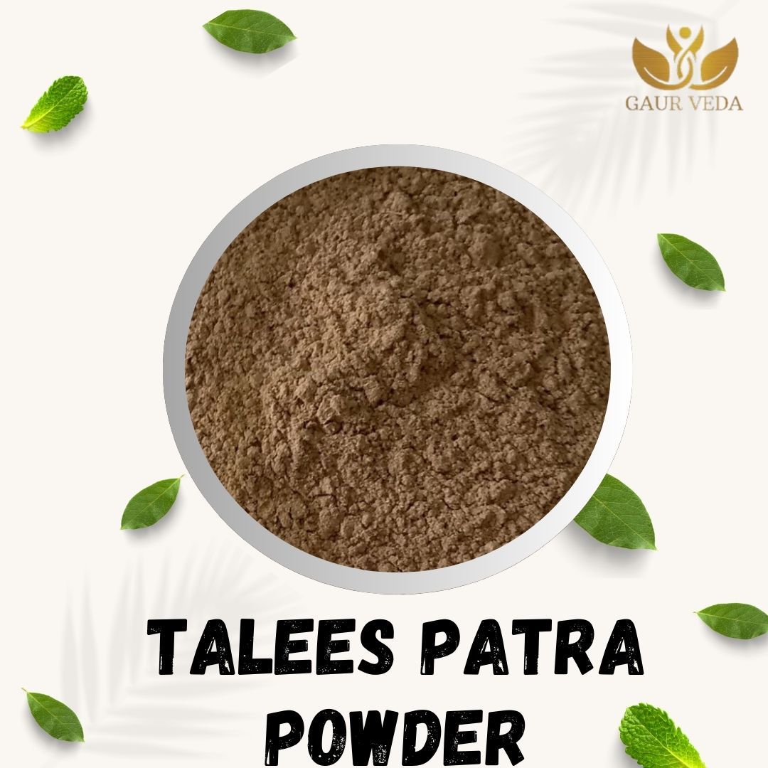 GAURVEDA Talees patra Powder 100% Natural & Pure | Traditional Ayurvedic Herb/Seed/Powder | Supports Wellness & Daily Health | Ideal for Herbal Remedies, 100 Grams