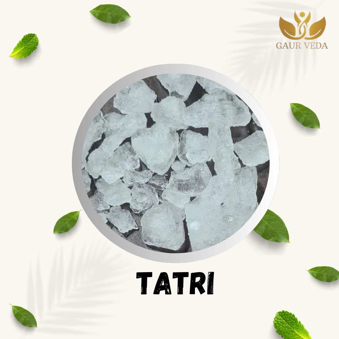 GAURVEDA Tatri - Traditional Indian Snack | Crispy & Savory Treat | Perfect for Tea-Time | Authentic Flavor | Homemade Taste | Enjoy Anytime, Anywhere | 100 Grams