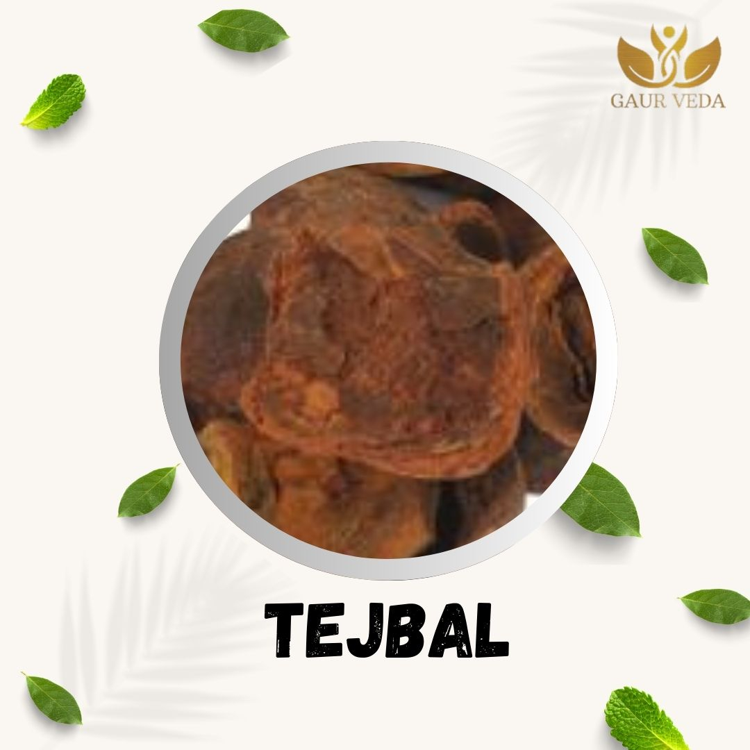 GAURVEDA Tejbal 100% Natural & Pure | Traditional Ayurvedic Herb/Seed/Powder | Supports Wellness & Daily Health | Ideal for Herbal Remedies, 100 Grams