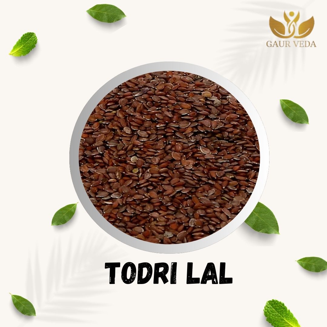 GAURVEDA Todri Lal Beej - Todari Surkh - Lepidium iberis - Natural (25 Grams)