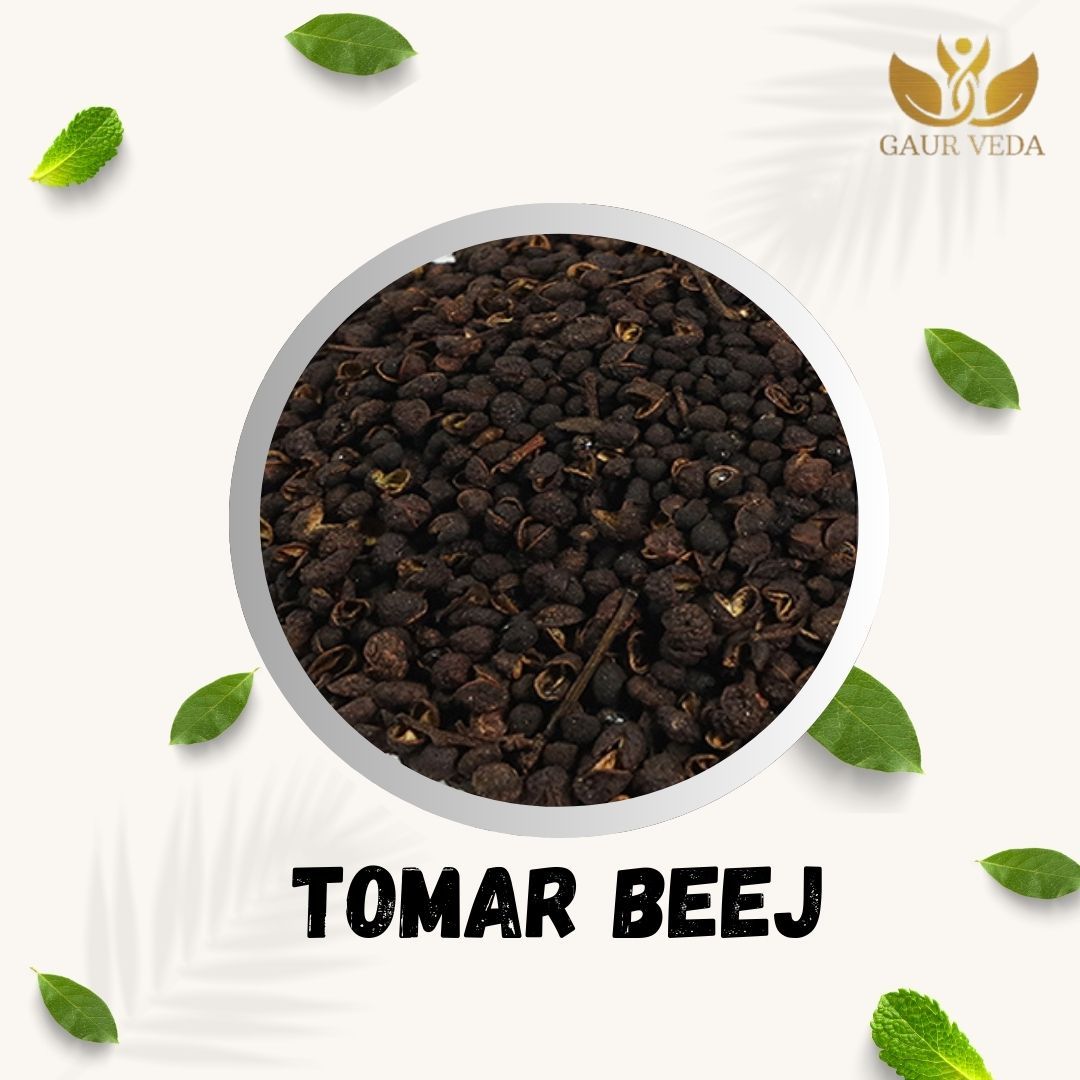 GAURVEDA Tomar Beej (Prickly Ash Seeds) - Natural Spice & Ayurvedic Herb | Authentic Taste of India | Seed for Cooking & Health Benefits | 100 Grams