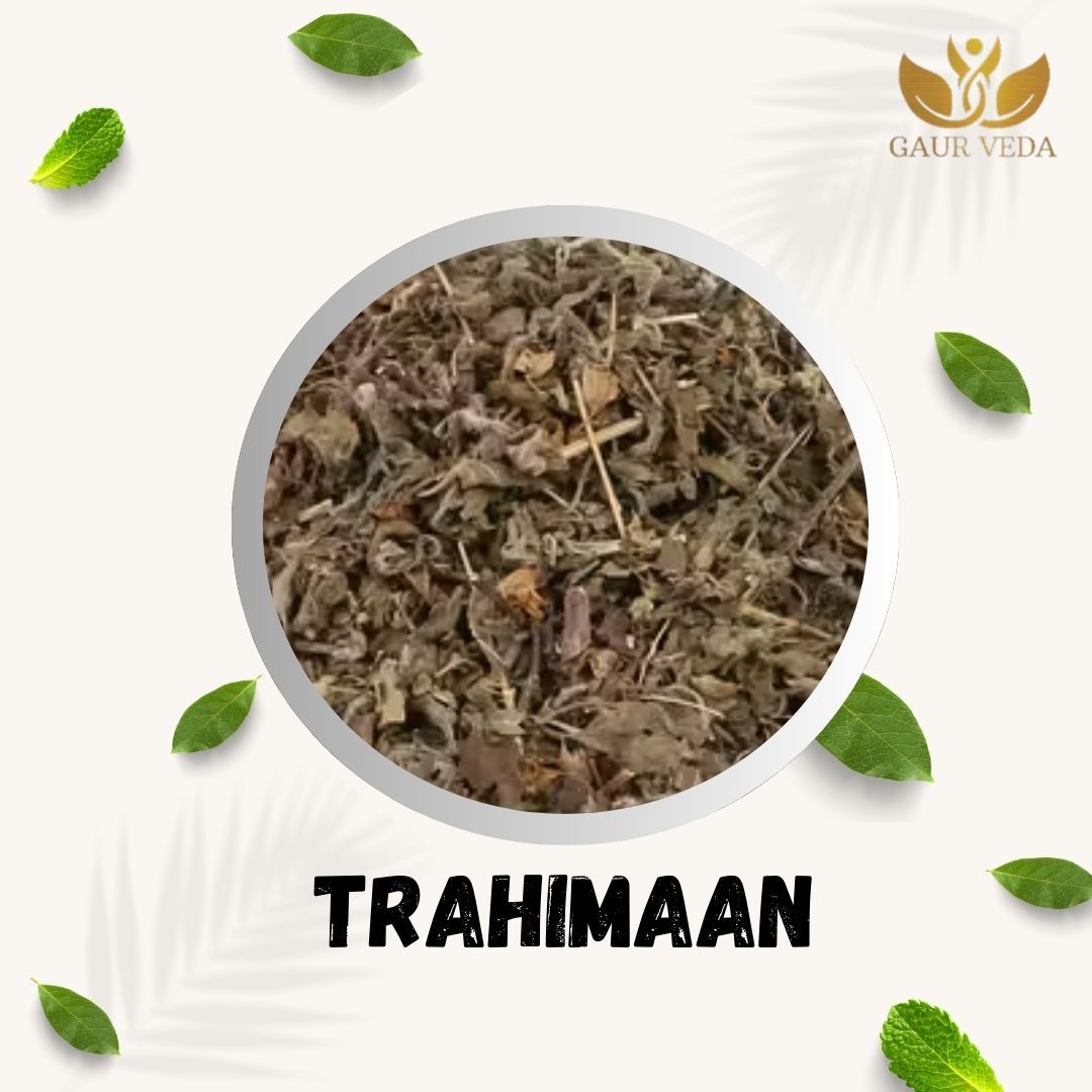 GAURVEDA Trahimaan 100% Natural & Pure | Traditional Ayurvedic Herb/Seed/Powder | Supports Wellness & Daily Health | Ideal for Herbal Remedies, 100 Grams