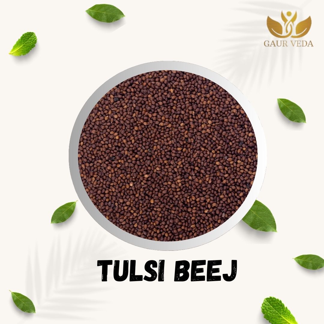GAURVEDA Tulsi Beej (Sabja Seeds) - Natural Superfood Rich in Fiber, Antioxidants & Minerals - Supports Digestion, Weight Management & Overall Wellness | 100 Grams