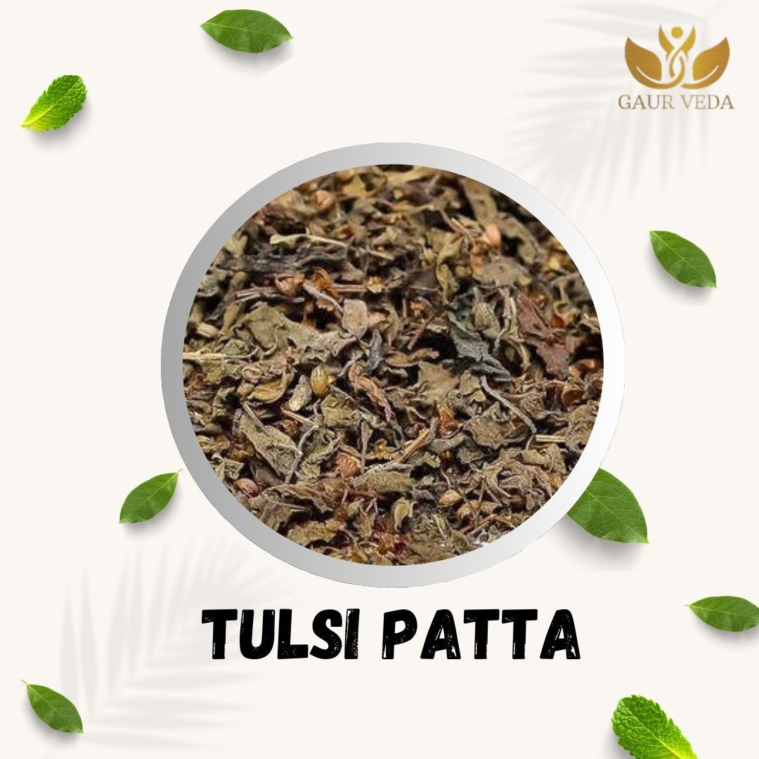 GAURVEDA Tulsi patta 100% Natural & Pure | Traditional Ayurvedic Herb/Seed/Powder | Supports Wellness & Daily Health | Ideal for Herbal Remedies, 100 Grams