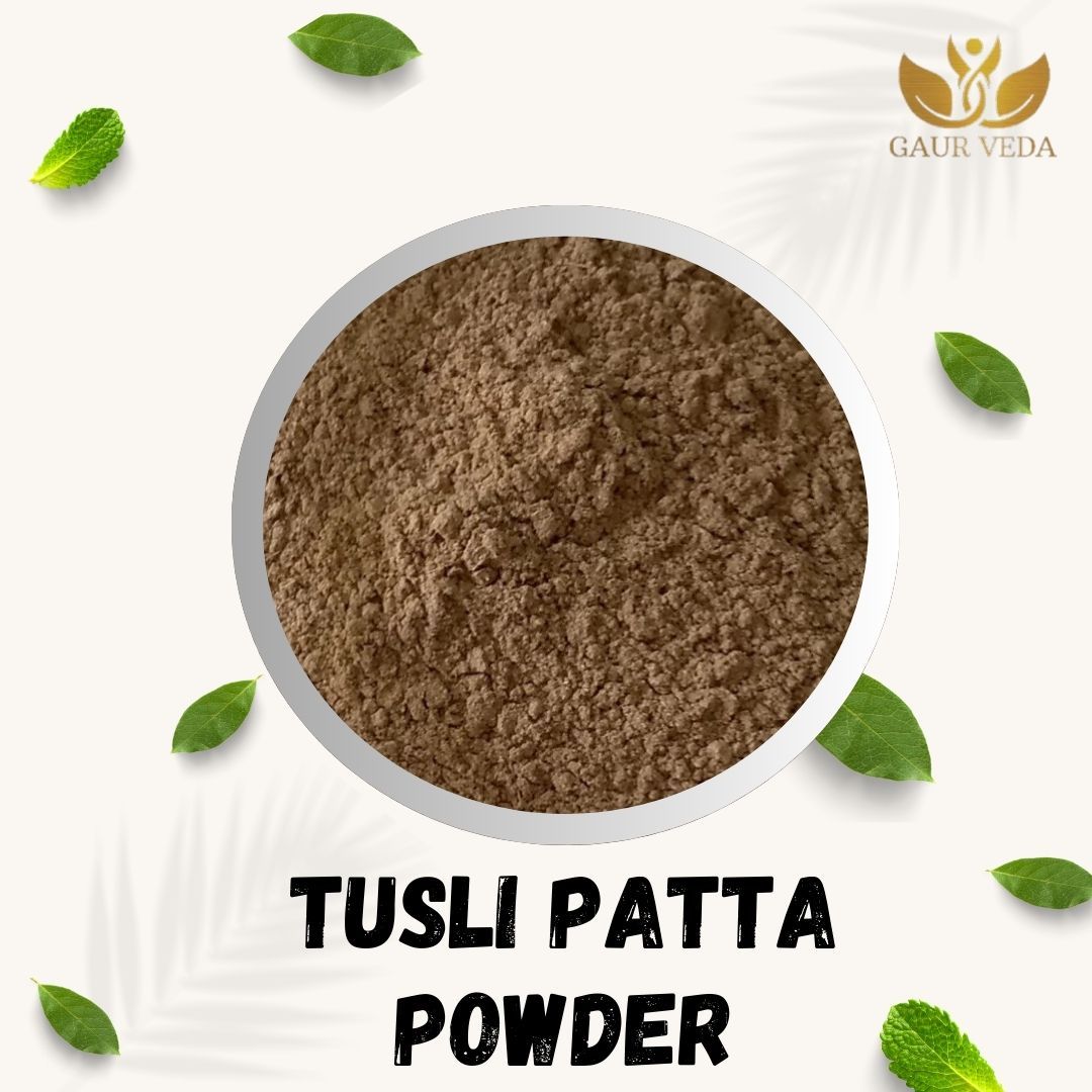 GAURVEDA Tulsi patta Powder 100% Natural & Pure | Traditional Ayurvedic Herb/Seed/Powder | Supports Wellness & Daily Health | Ideal for Herbal Remedies, 100 Grams