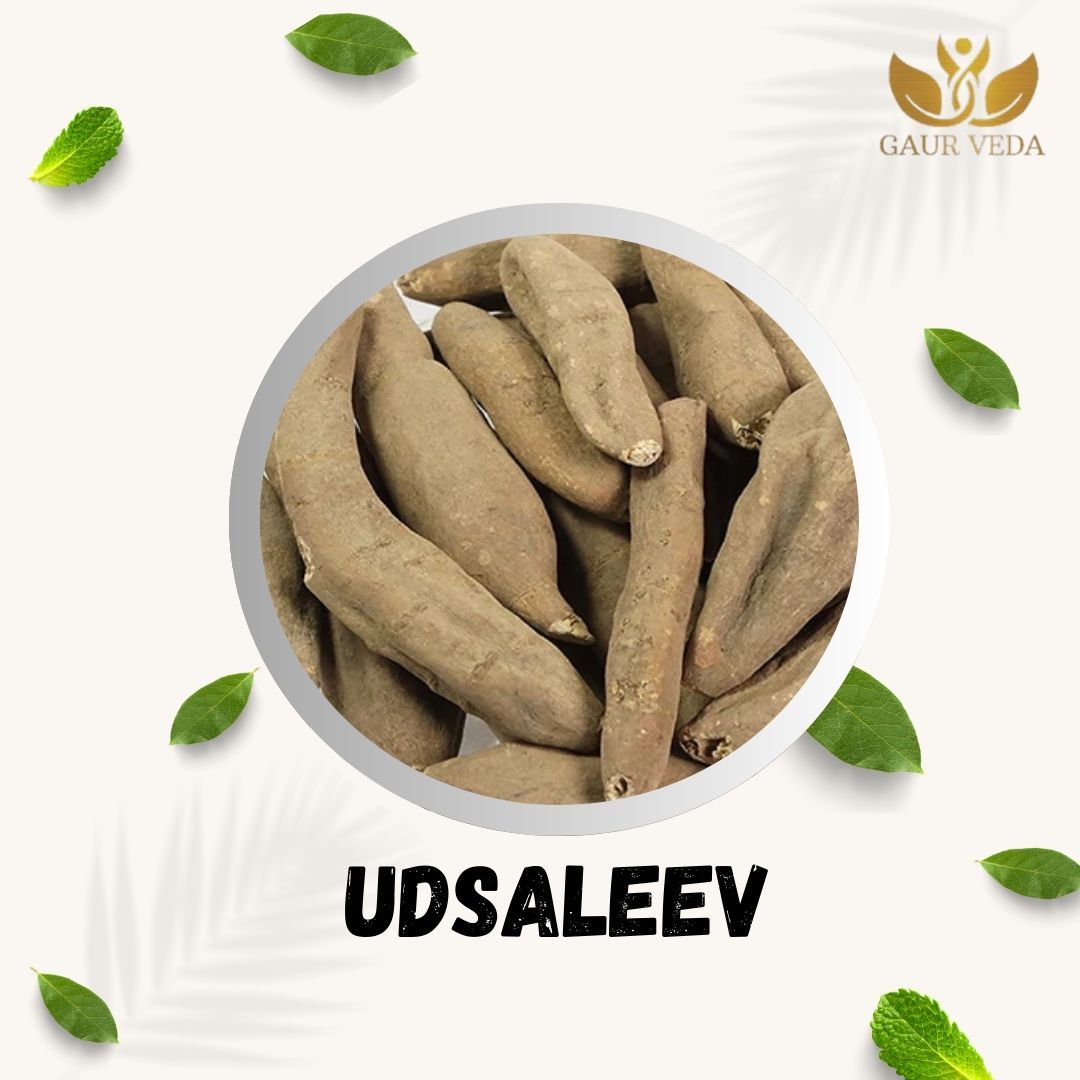 GAURVEDA Udsaleev 100% Natural & Pure | Traditional Ayurvedic Herb/Seed/Powder | Supports Wellness & Daily Health | Ideal for Herbal Remedies, 100 Grams