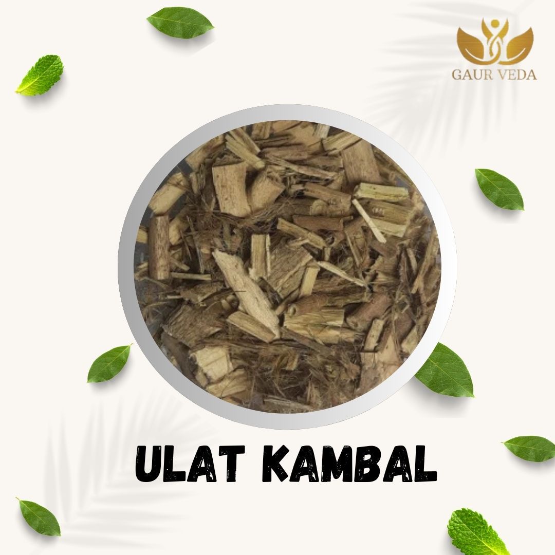 GAURVEDA Ulatkambal 100% Natural & Pure | Traditional Ayurvedic Herb/Seed/Powder | Supports Wellness & Daily Health | Ideal for Herbal Remedies, 100 Grams{252