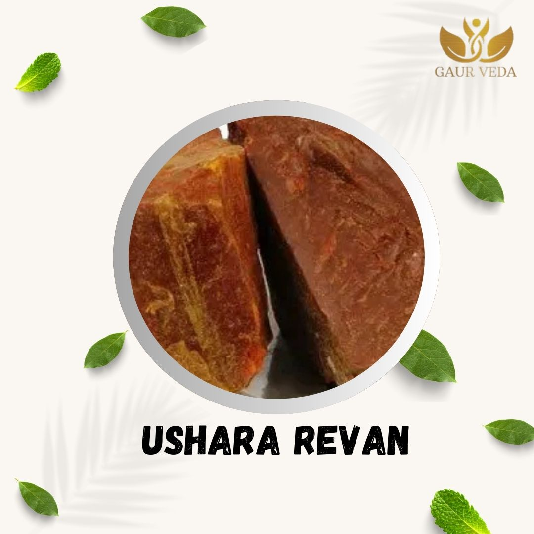 GAURVEDA Ushara Revan 100% Natural & Pure | Traditional Ayurvedic Herb/Seed/Powder | Supports Wellness & Daily Health | Ideal for Herbal Remedies, 10 Grams